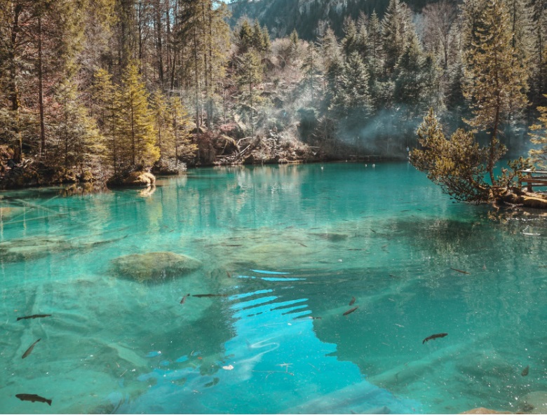 1657766572649944.jpg 4.jpg