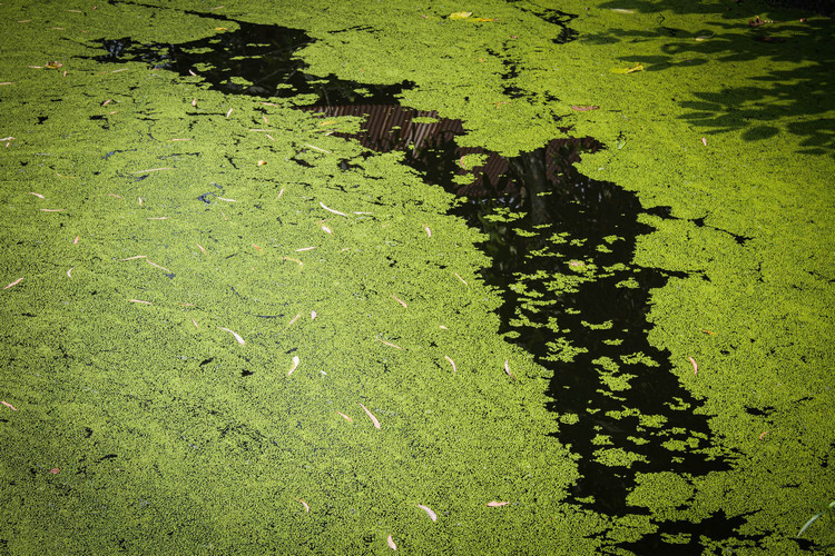 醫(yī)療污水 醫(yī)療污水