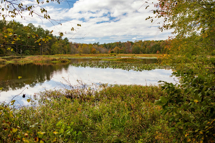 廢水處理 廢水處理